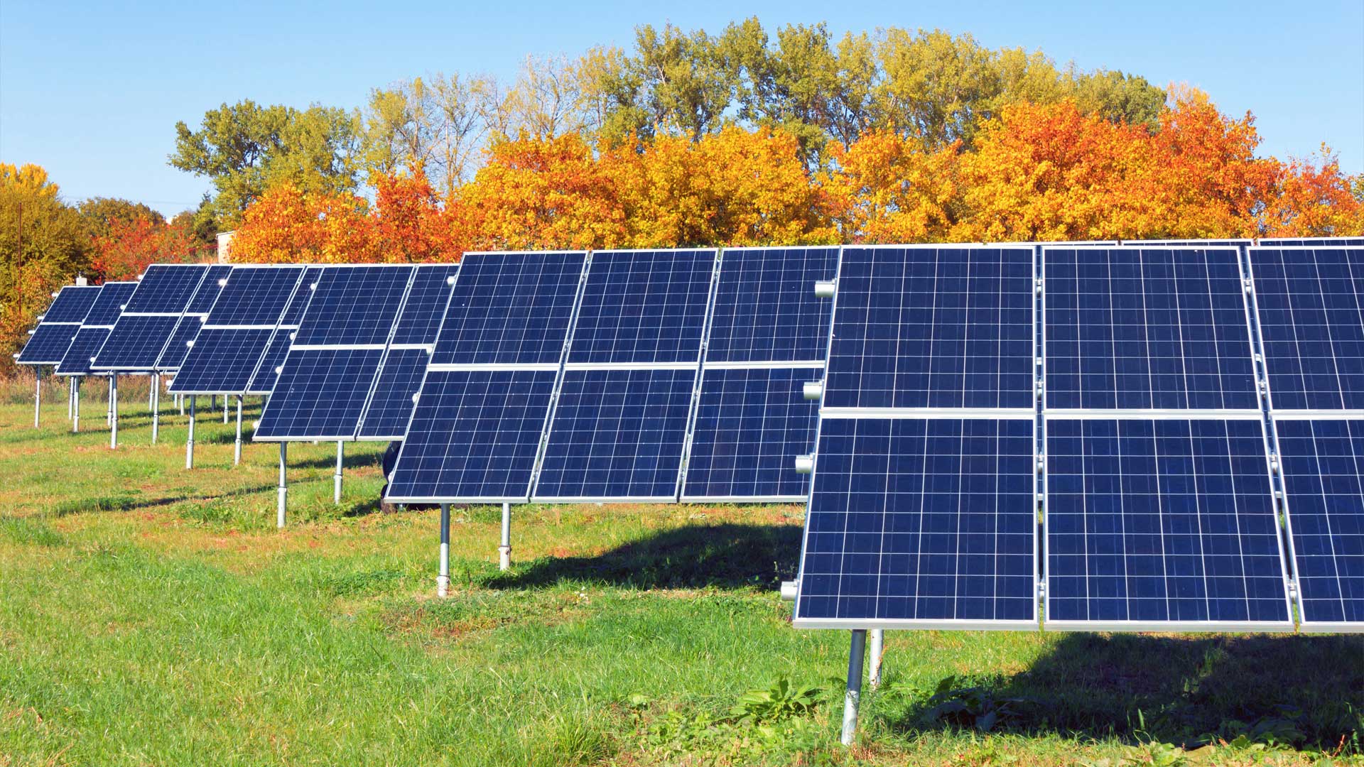 How-Solar-Panels-Thrive-in-Texas-Fall-Season