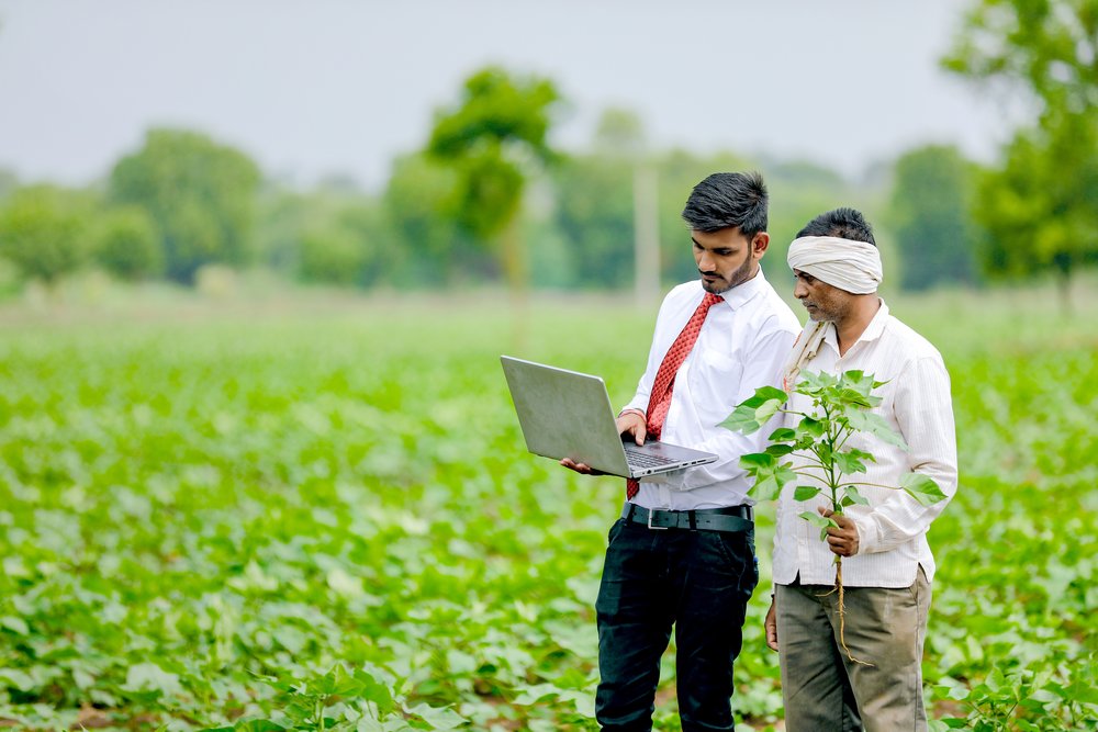 farmer-at-cotton-field